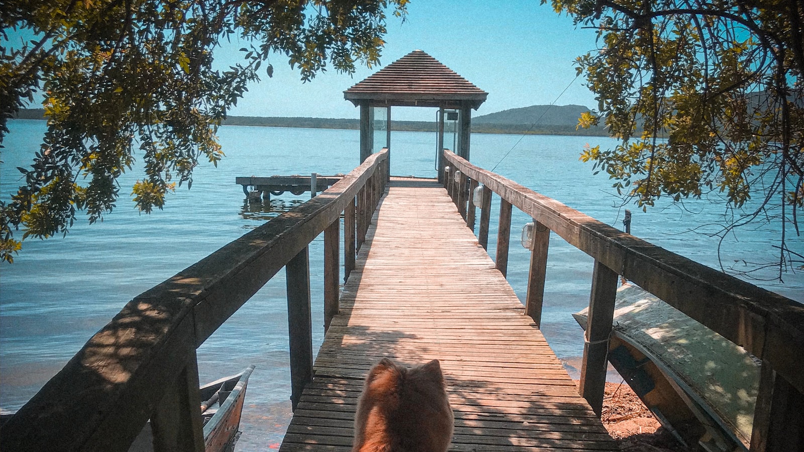 Explorando oportunidades relacionadas a 